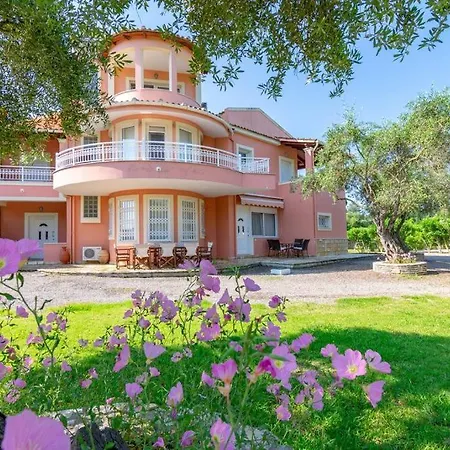 Captain Alex 2 * Dafnila