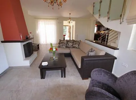 Captain Alex 2 * Dafnila