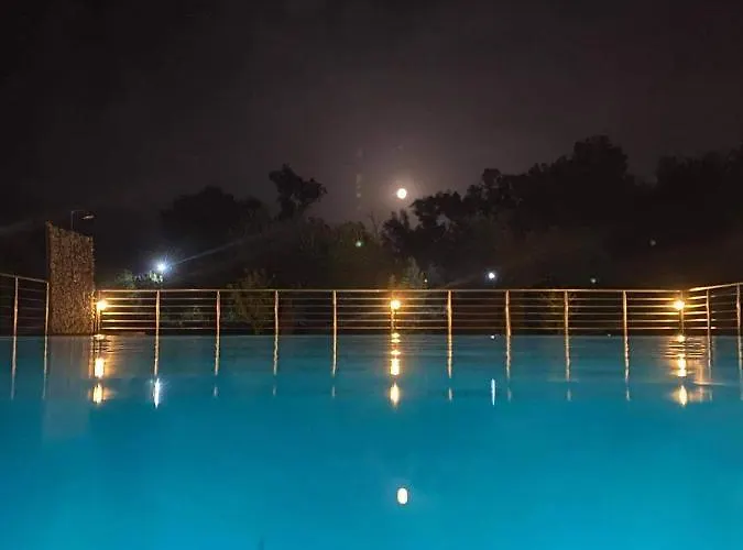 Captain Alex 2 Dafnila